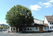 Landgasthof Grüner Baum
